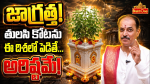తులసి కోటకు సరైన దిశ ఏది.. వాస్తు చెప్పిన అసలు రహస్యం.!
